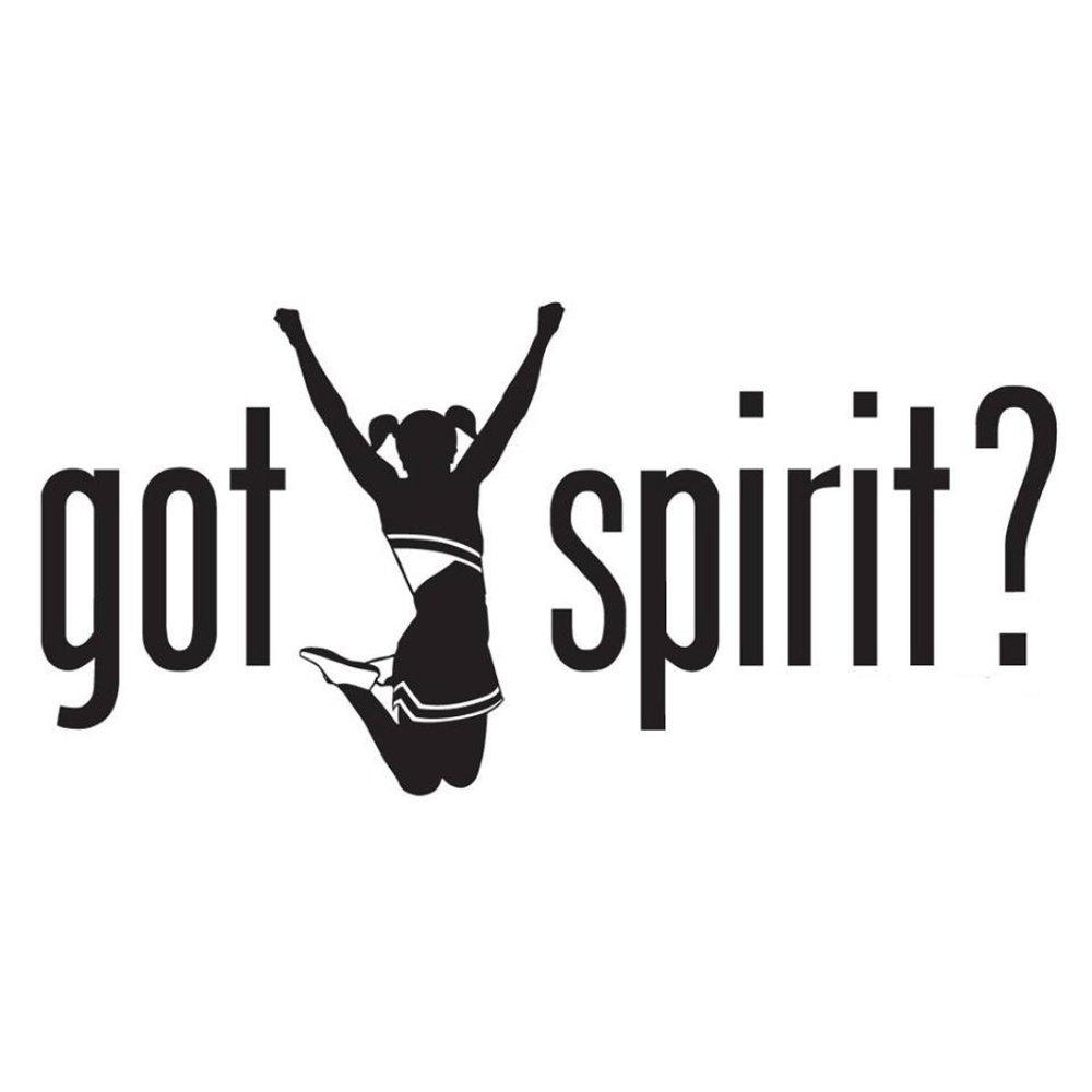 NEW Cheerleader Uniform Top Skirt Pom Poms Socks